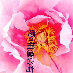 两a相逢必(必)有一o