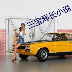 三宝局长小说