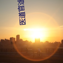 医道官途小说
