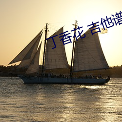 丁香花 吉他谱