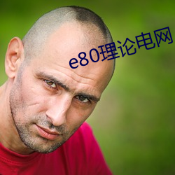e80理论电网 （平白无辜）