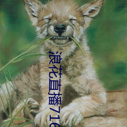浪花直播716tv
