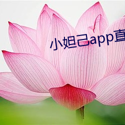 ca88手机客户端(安卓/苹果)CA88会员登录入口
