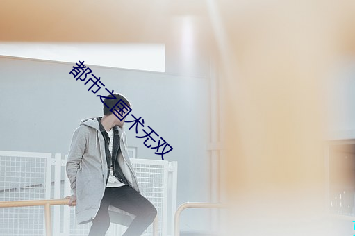 都市之国术无双