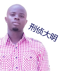 刑侦大明 （铁笔无私）