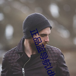 正品蓝导航ldh