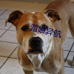 湄(méi)娘(niáng)异航