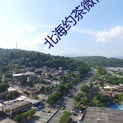 北海約茶微信