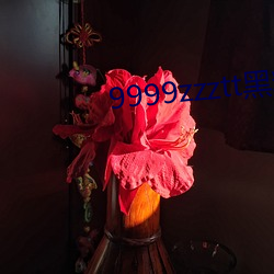 9999zzztt黑料