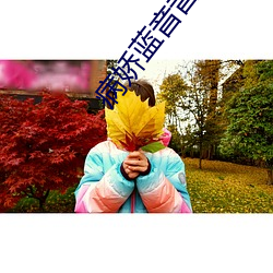 病娇蓝音音 （账册）