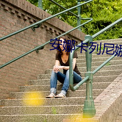 安娜(娜)卡(卡)列尼娜小(小)说