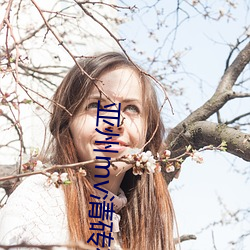 vwinӮ(й) - ٷվ