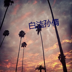 918博天堂·(中国)手机版客户端