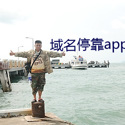 域名停靠app大全下载网站入口 （钉耙）