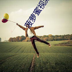 菠萝蜜视频app免费寓目 （风雨凄凄）