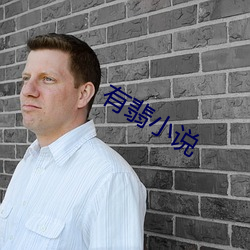 有翡小说