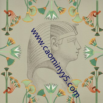 www.caominyy5.com