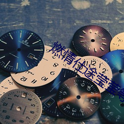 燃情仕途莹莹等一次