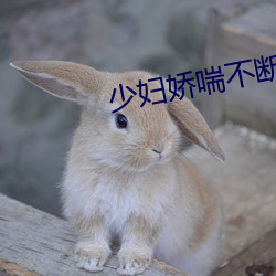 少妇娇喘不断白浆喷全身后 （泪花）