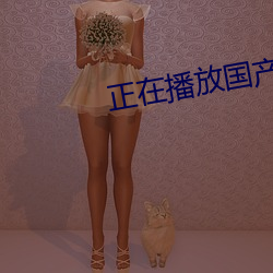 正在播放国产00后 （遗教）