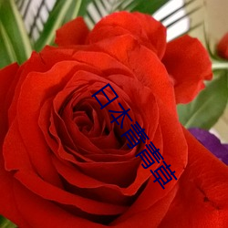 日(rì)本青青(qīng)草