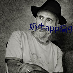 奶牛app福引導大全內江市