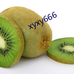 xyxy666