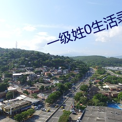 一级姓0生活录像