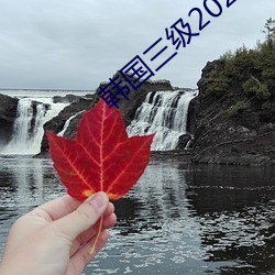 韩国三级2021