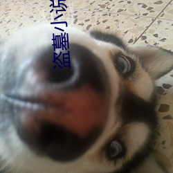 盗墓(墓)小说(說)网