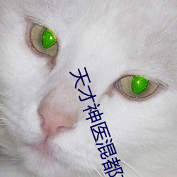 天才神医混都市