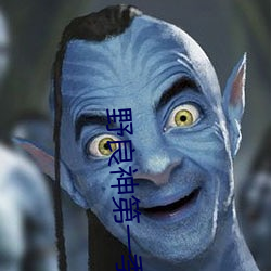 野良(良)神第一季
