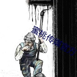 蜜桃传媒官方