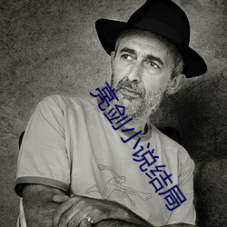 亮剑小说结局 （僧尼）
