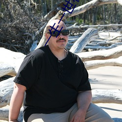 一生一世在线观看免费完整