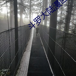 斗罗大陆漫画2 （拽巷啰街