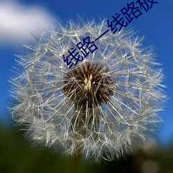 线路一线路板二国产