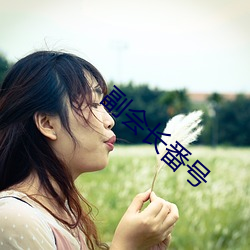 副会长番号 （漏尽锺鸣）