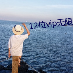 12位vip无限次数(shù)兑换码(m)