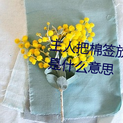 主人把棉签放屁眼里不能掉作文是什么意思 （画水镂冰）