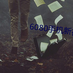 6080֙CҕXӰ