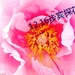 12.16步(步)宾探花(花)3000