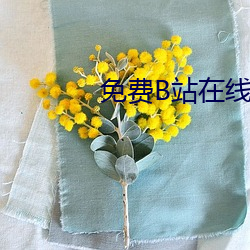 免费(費)B站在线观看(看)人数(數)