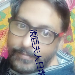 閣臣夫人日常