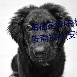 有栖花绯(有栖花あか)出道!难道安斋拉拉(安齋らら)又要换