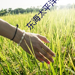 东海太平洋影院