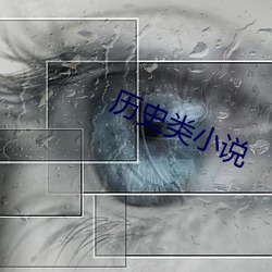 历史类小说