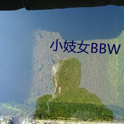 小妓女BBW