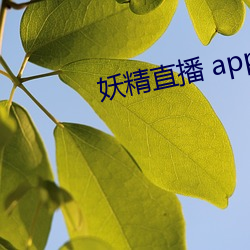 九游会登录j9入口 - 中国官方网站 | 真人游戏第一品牌