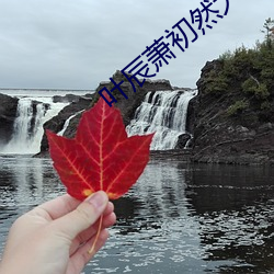 叶辰萧初然大结局